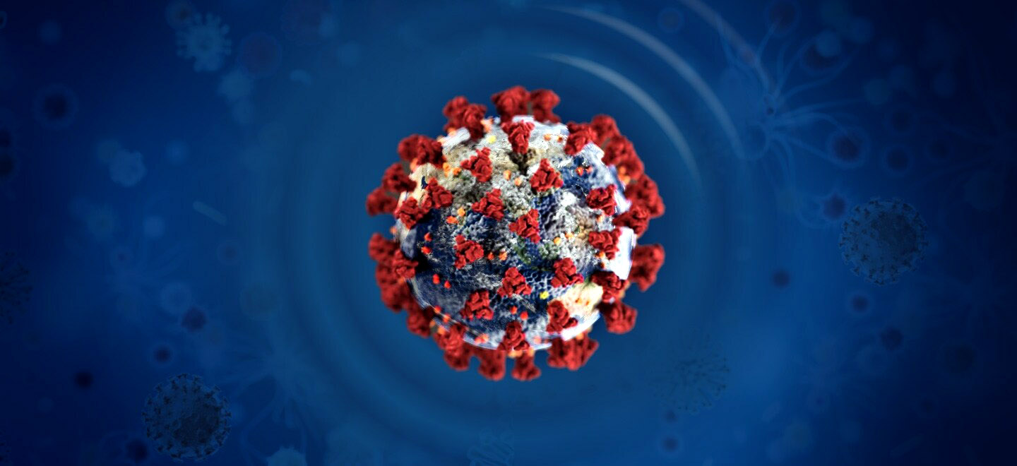 United against the Coronavirus Pandemic